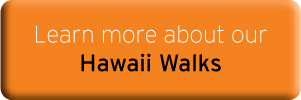 Learn more about our Hawaii Walks!